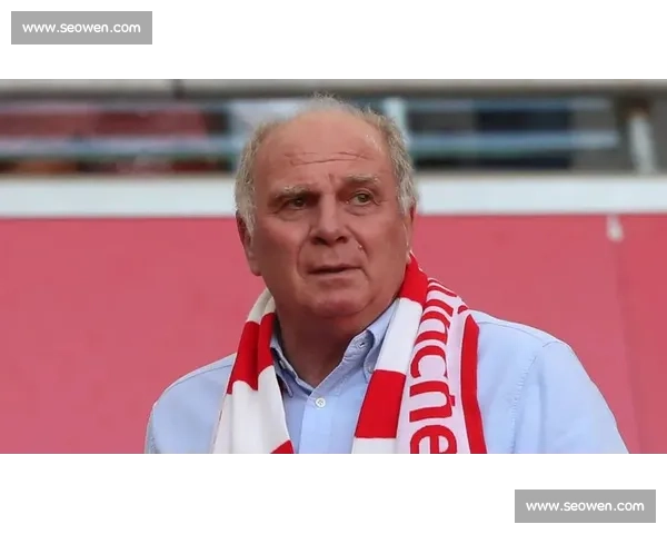 赫内斯:拜仁夏窗成赢家 伤员归队 + 冬窗资金引援双保障 赫内斯:拜仁夏窗成赢家 伤员归队 + 冬窗资金引援双保障